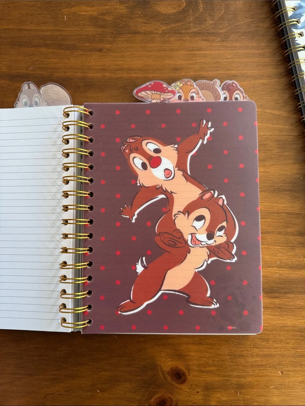 Disney Chip 'n' Dale Fall Leaf Spiral Notebook – Brown & Gold
